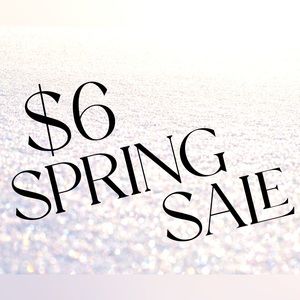 Spring Cleaning $6 Sale Items